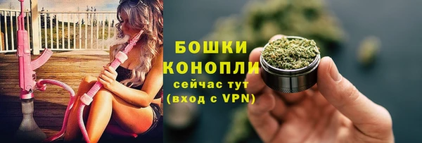 шишки Гусь-Хрустальный