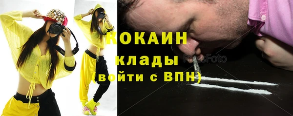 шишки Гусь-Хрустальный