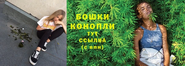 шишки Гусь-Хрустальный
