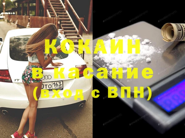 шишки Гусь-Хрустальный