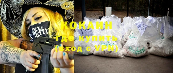 шишки Гусь-Хрустальный