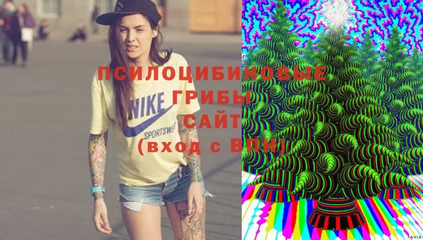 первитин Гусев
