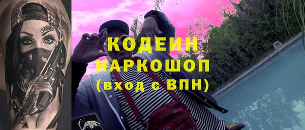 первитин Гусев
