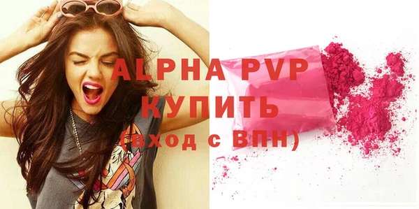 шишки Гусь-Хрустальный