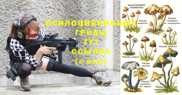 шишки Гусь-Хрустальный