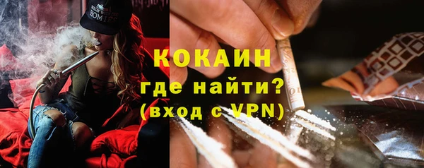первитин Гусев