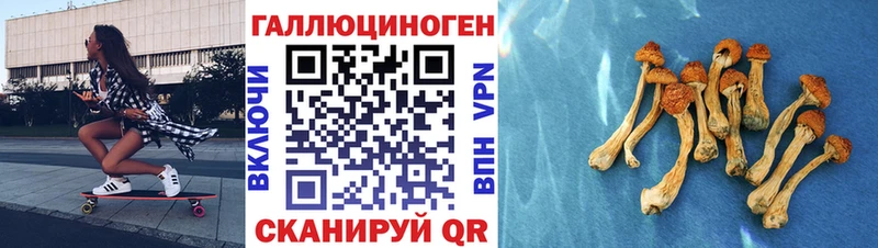 Купить закладки Куйбышев Галлюциногенные грибы Psilocybe